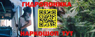 хмурый Будённовск