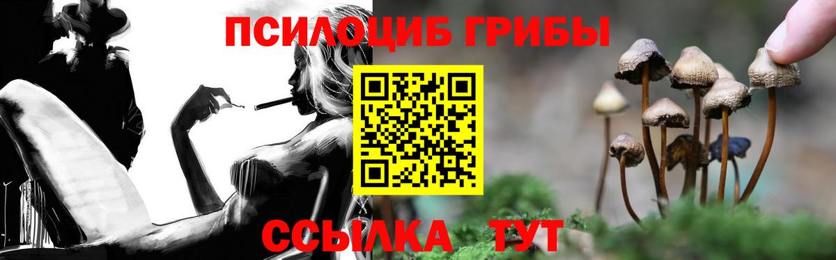 Галлюциногенные грибы мицелий  Вход с VPN  Сертолово 