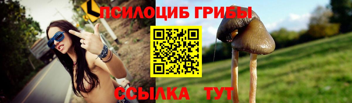 Галлюциногенные грибы мицелий Сертолово
